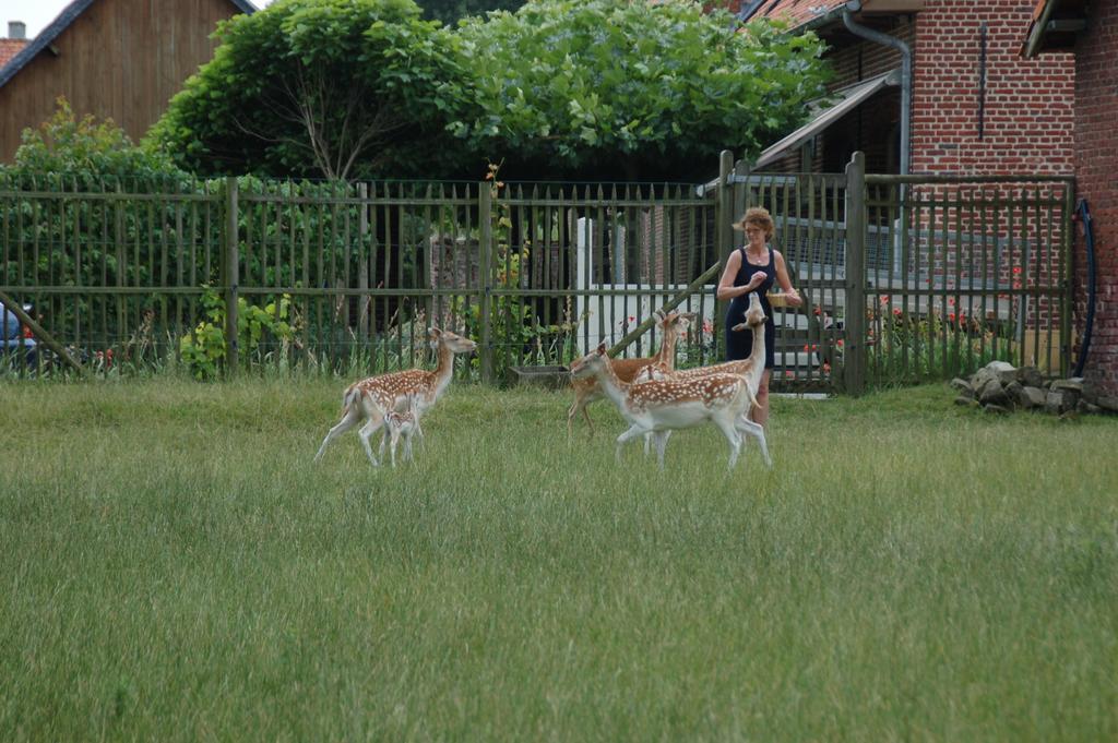 B&B De Rentmeesterhoeve Reningelst ภายนอก รูปภาพ