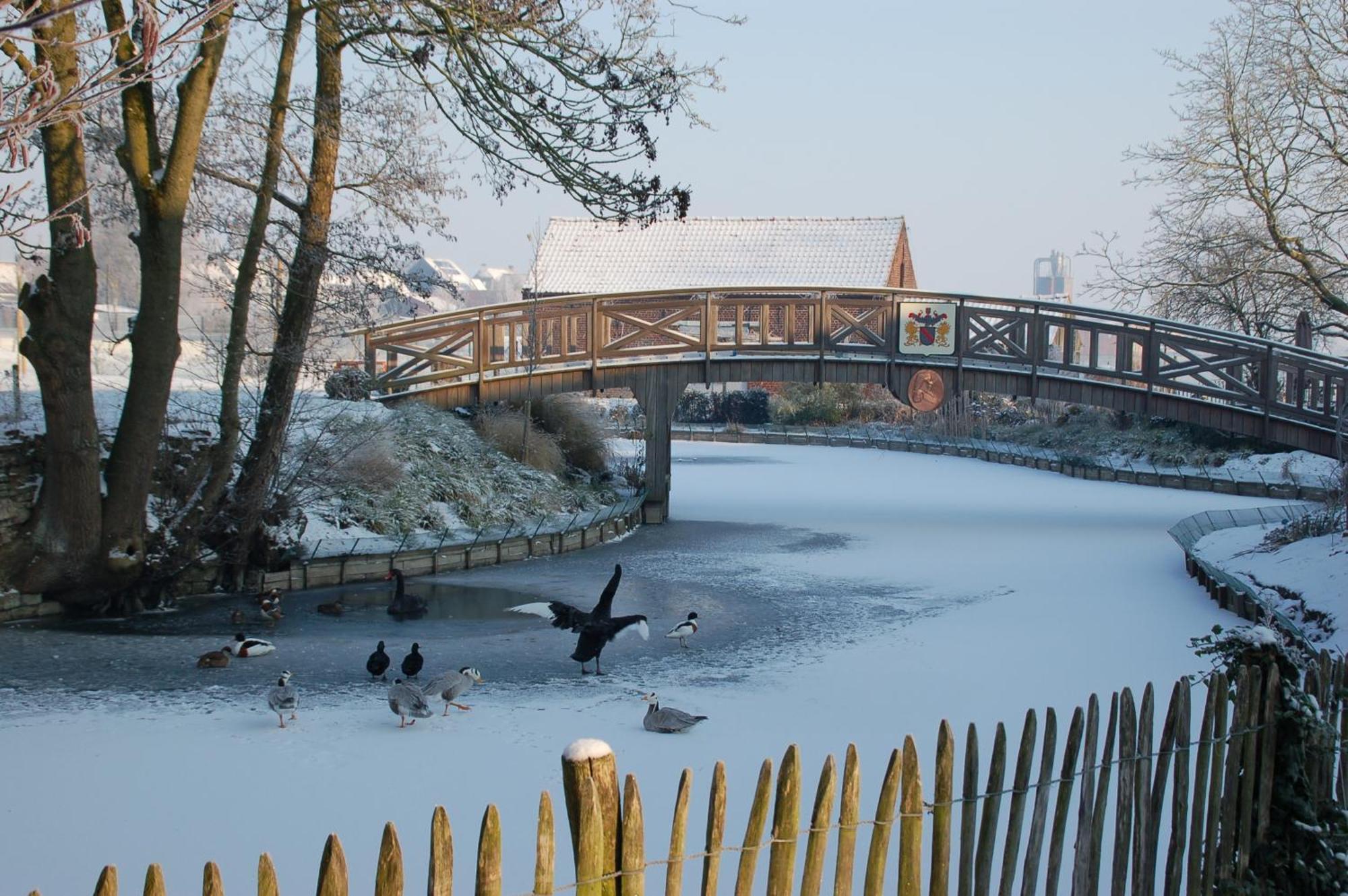B&B De Rentmeesterhoeve Reningelst ภายนอก รูปภาพ